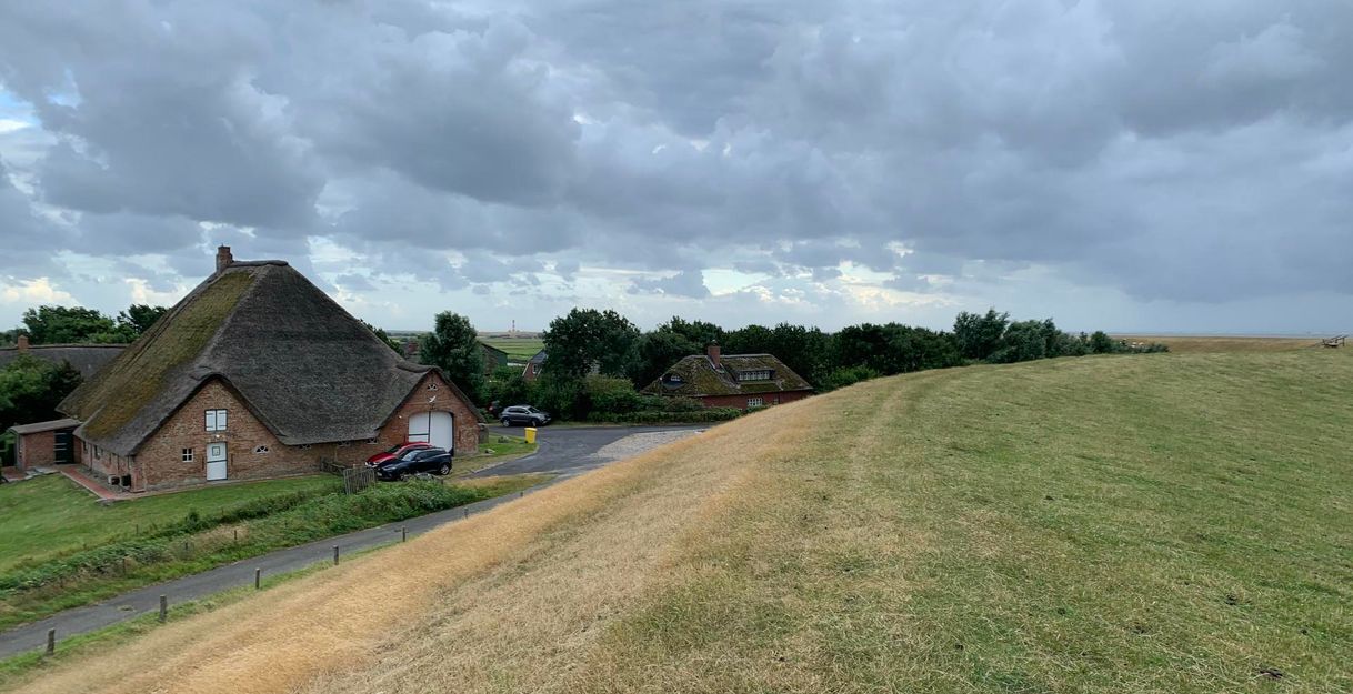Eine ländliche Landschaft mit zwei reetgedeckten Häusern und einer Wiese. Der Himmel ist bewölkt und es gibt einige Bäume im Hintergrund.
